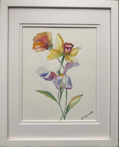 Watercolour of Irises